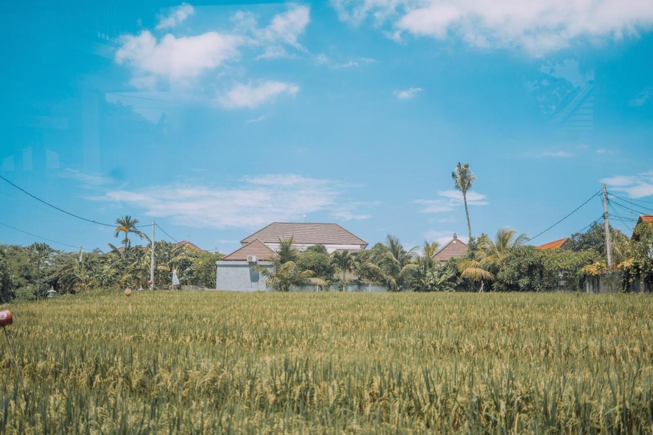 Gajah Villa By Betterplace Canggu  Exterior photo